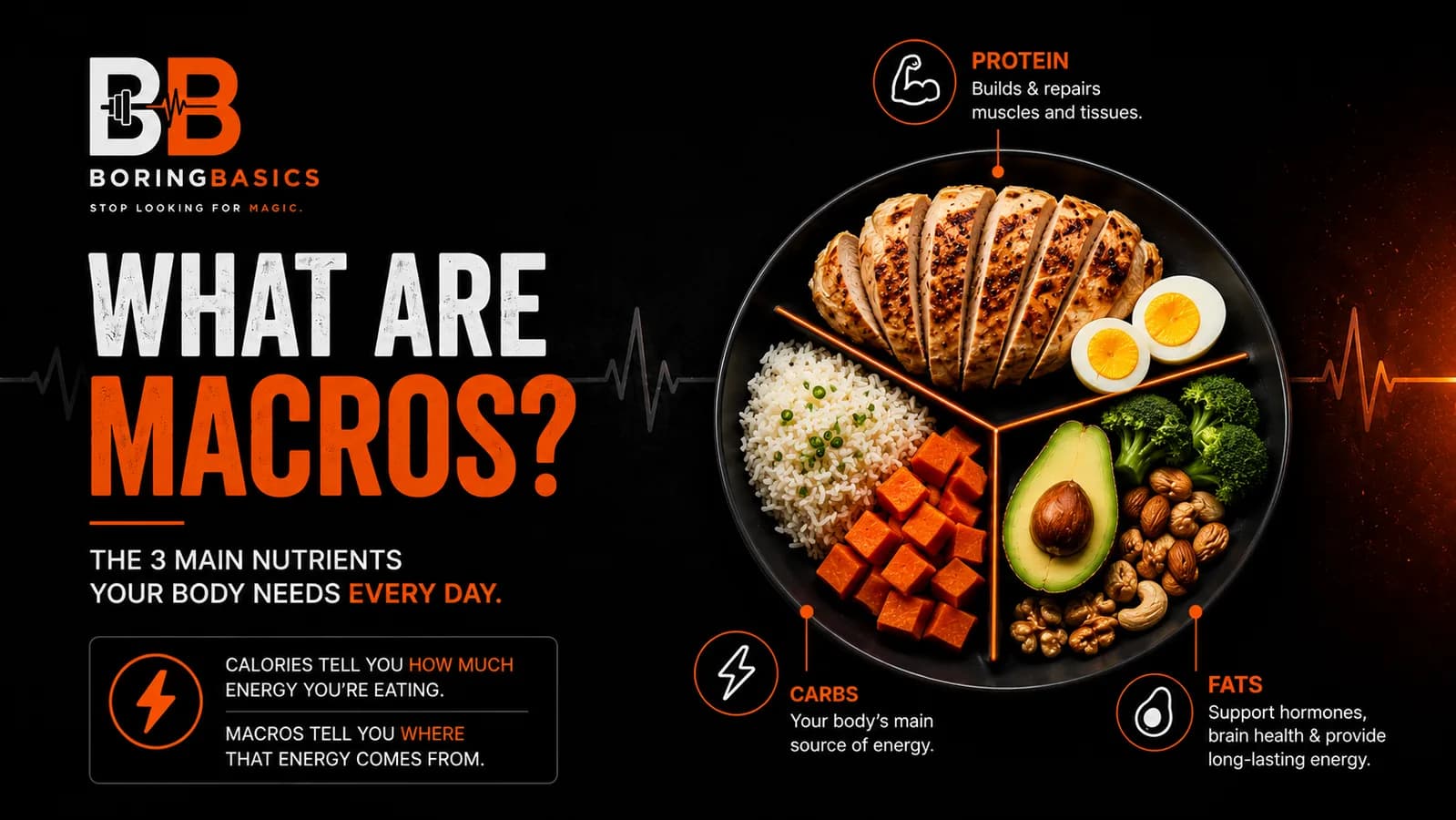 What Are Macros?